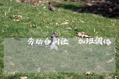 劳动合同法 加班调休 劳动合同法 加班调休
